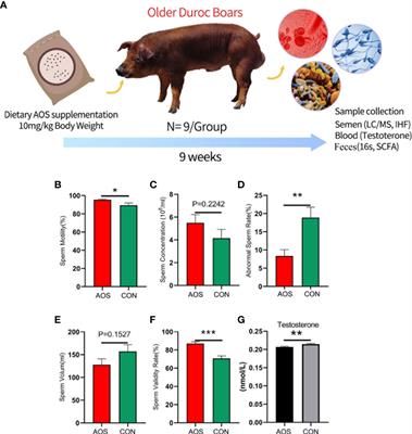 Frontiers | Alginate Oligosaccharide Extends The Service Lifespan By ...